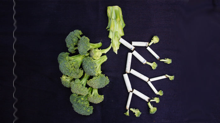 11 Lifestyle Changes To Help Smokers' Lungs Recover After Quitting Smoking